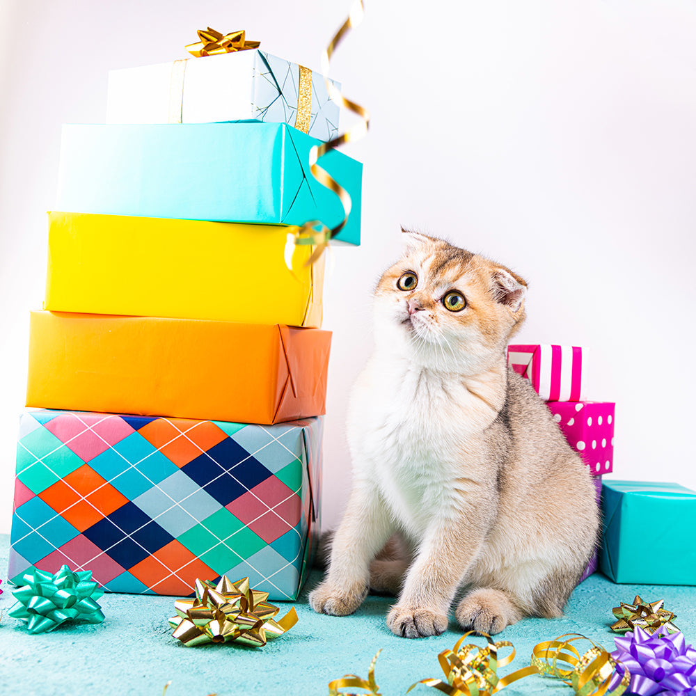 GIFT PACKAGING
