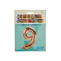 sap:Product_48129_20250324_115003_146.png|95982
