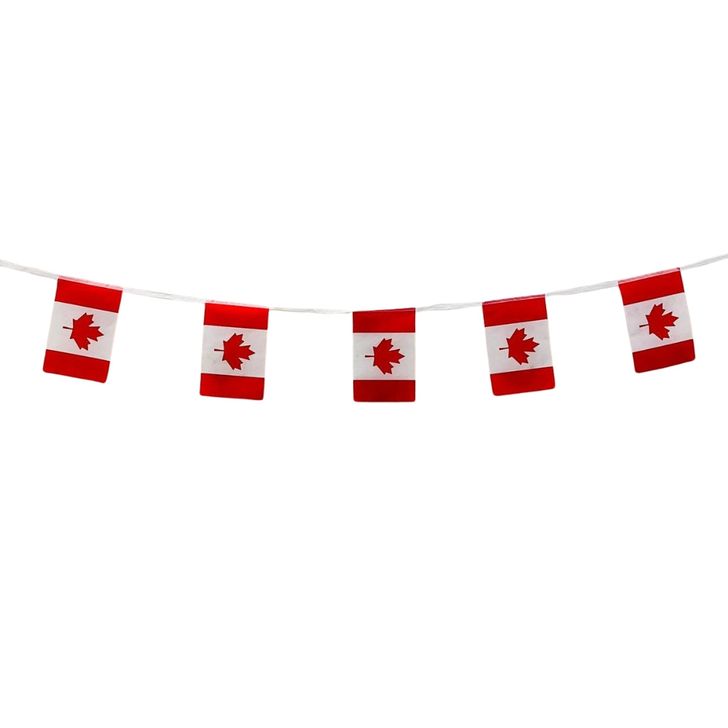 sap:Product_51078_20250508114327468.png|92589