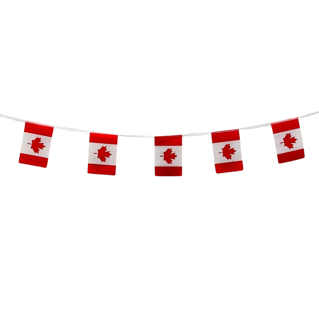 sap:Product_51078_20250508114327468.png|92589